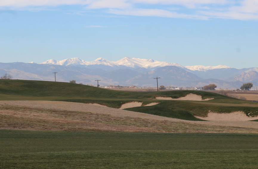 Avid Golfer Photo
